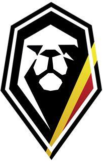 Belgium 0-Pres Alternate Logo v2 iron on heat transfer